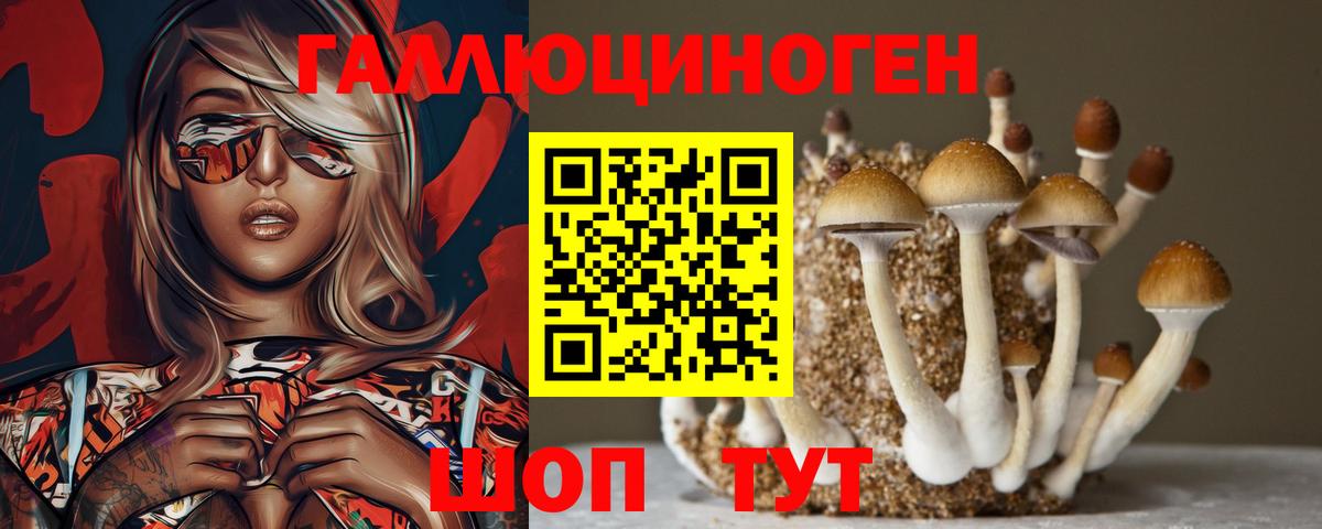 Псилоцибиновые грибы мухоморы  Галлюциногенные грибы прущие грибы  Гусиноозёрск  Вход с VPN 
